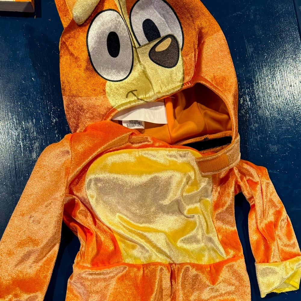 Bingo Halloween costume 3t
